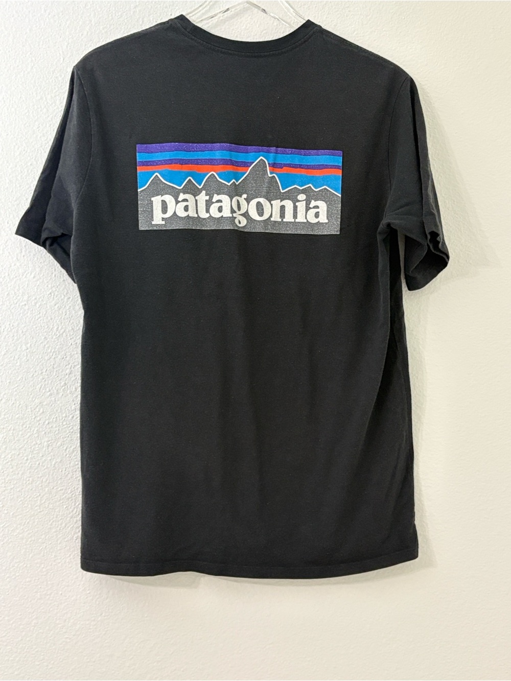 Patagonia Men's Black Logo Back Graphic Tee